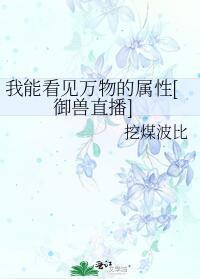 我能看到万物法则