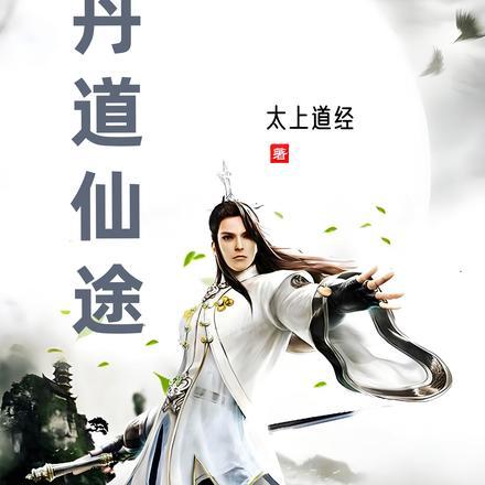 丹道仙途txt电子书