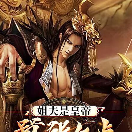 书名姐夫