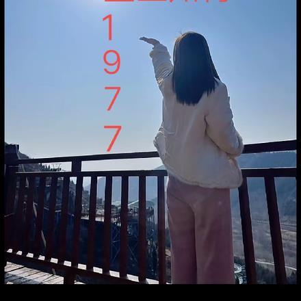重生知青1978李向南