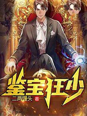 鉴宝狂少陆飞免费阅读全文
