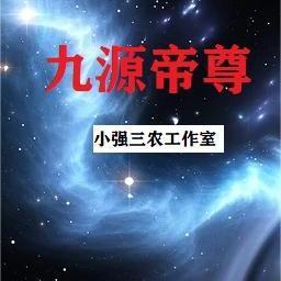 九样帝尊