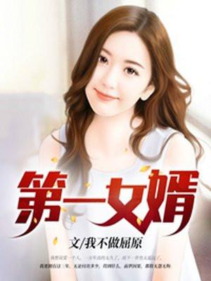 第一女婿离剑天涯