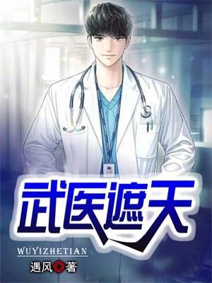 武医遮天叶凡遇风