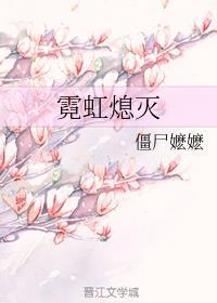 霓虹熄灭晋江
