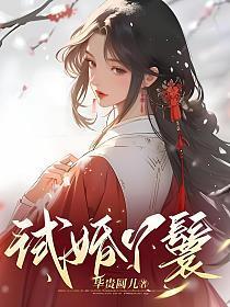 试婚丫鬟by茄子免费阅读