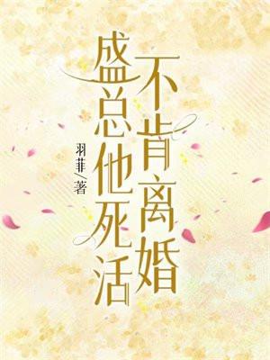 全文免费盛总你老婆又闹离婚了百度