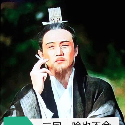 诸葛丞相lofter