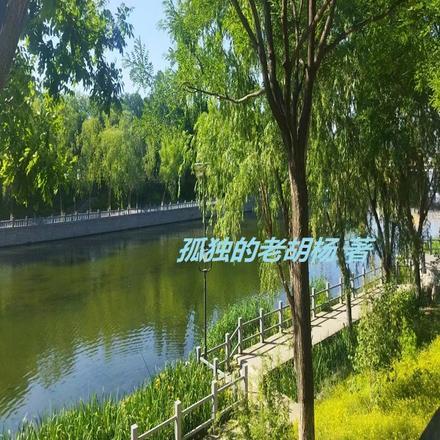 重生红楼贾珠娶黛玉