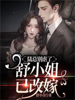 陆总别虐了舒小姐已改嫁免费阅读