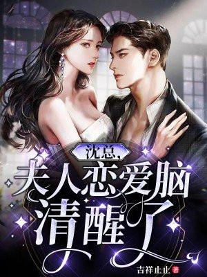 总裁夫人沈分宜