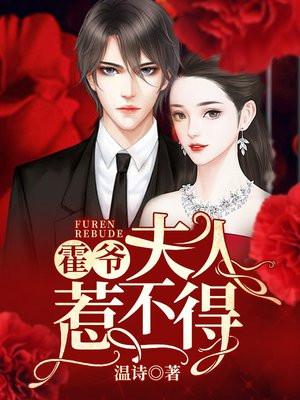 夫人惹不得txt