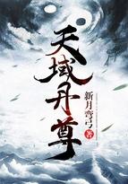 天域丹尊免费