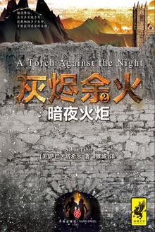 灰烬ns