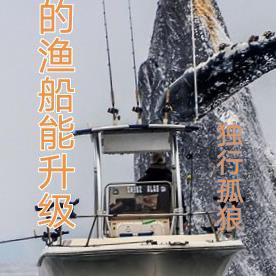 我的渔船能升级篱笆好文学