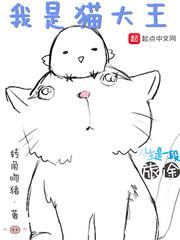 我是猫大王几个女主