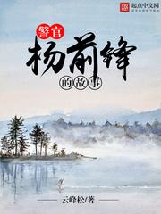 警官杨前锋的故事精校TXT