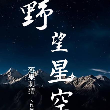 野望星空投资3980元投资项目详情