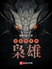 回到明末做枭雄 无弹窗