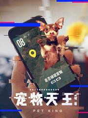 宠物天王起点