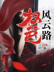 权路风云免费阅读全文