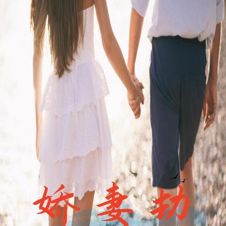 娇妻劫云全文免费阅读