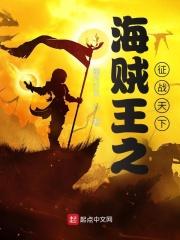 海贼王之征战天下TXT免费