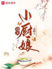 边关小厨娘夏明月陆启言