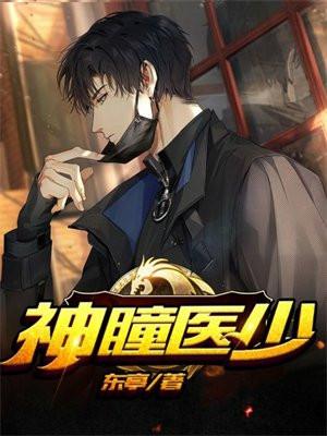 神瞳医圣在线阅读