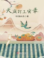 暴风城打工实录阅读