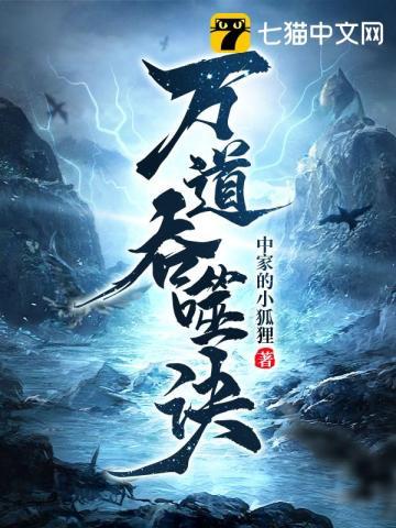 主角沈枫的