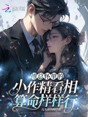 傅总的小可爱他超甜万里星火