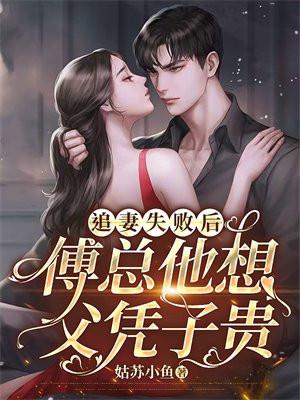 傅总追妻火葬