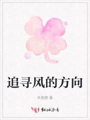 追随风的方向