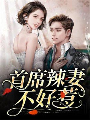 首席辣妻不好惹执掌风云