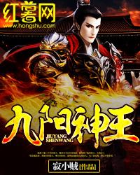 九阳神王TXT全本