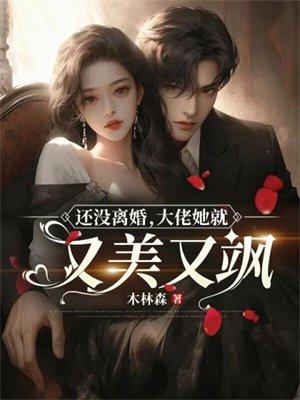 还没离婚