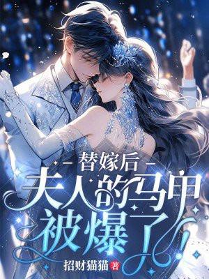 替嫁夫人又逃了17章