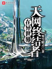 天网终结者在异世界全本免费阅读