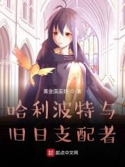 哈利波特与旧日支配者主角是谁