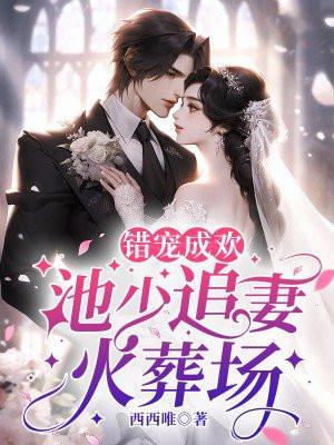 池少宠妻成瘾