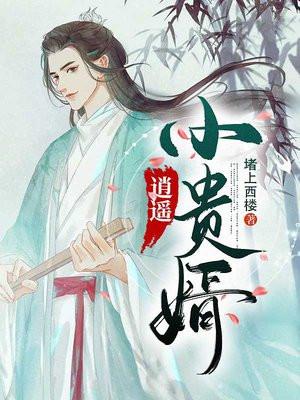 逍遥小贵婿主角几个老婆