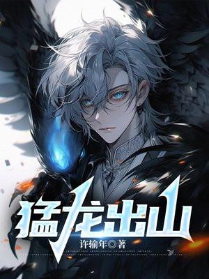 广东猛龙出击文化传媒公司怎么样