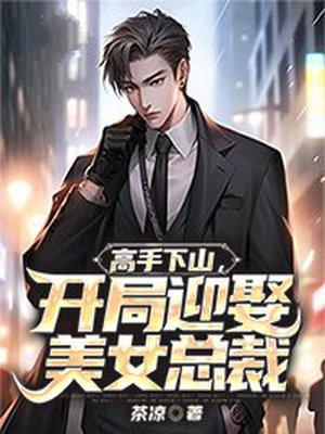 开局迎娶美女总裁免费阅读
