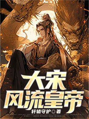 大宋之风流才