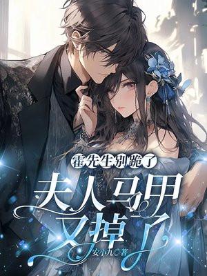 霍先生别闹全文免费阅读