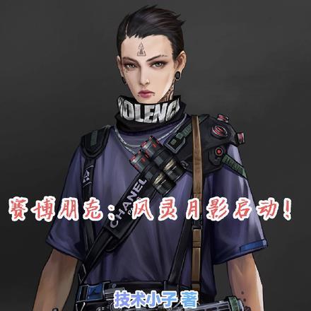 2077风灵月影是什么