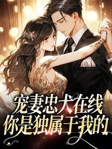 宠妻是正道免费阅读