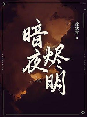 暗夜烬明讲的什么