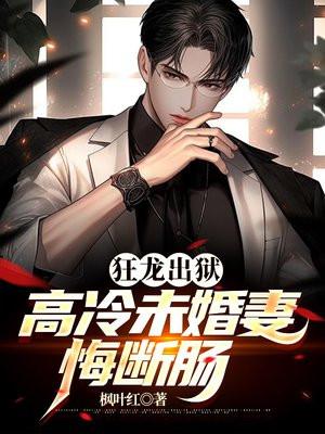 主人公叫狂龙的